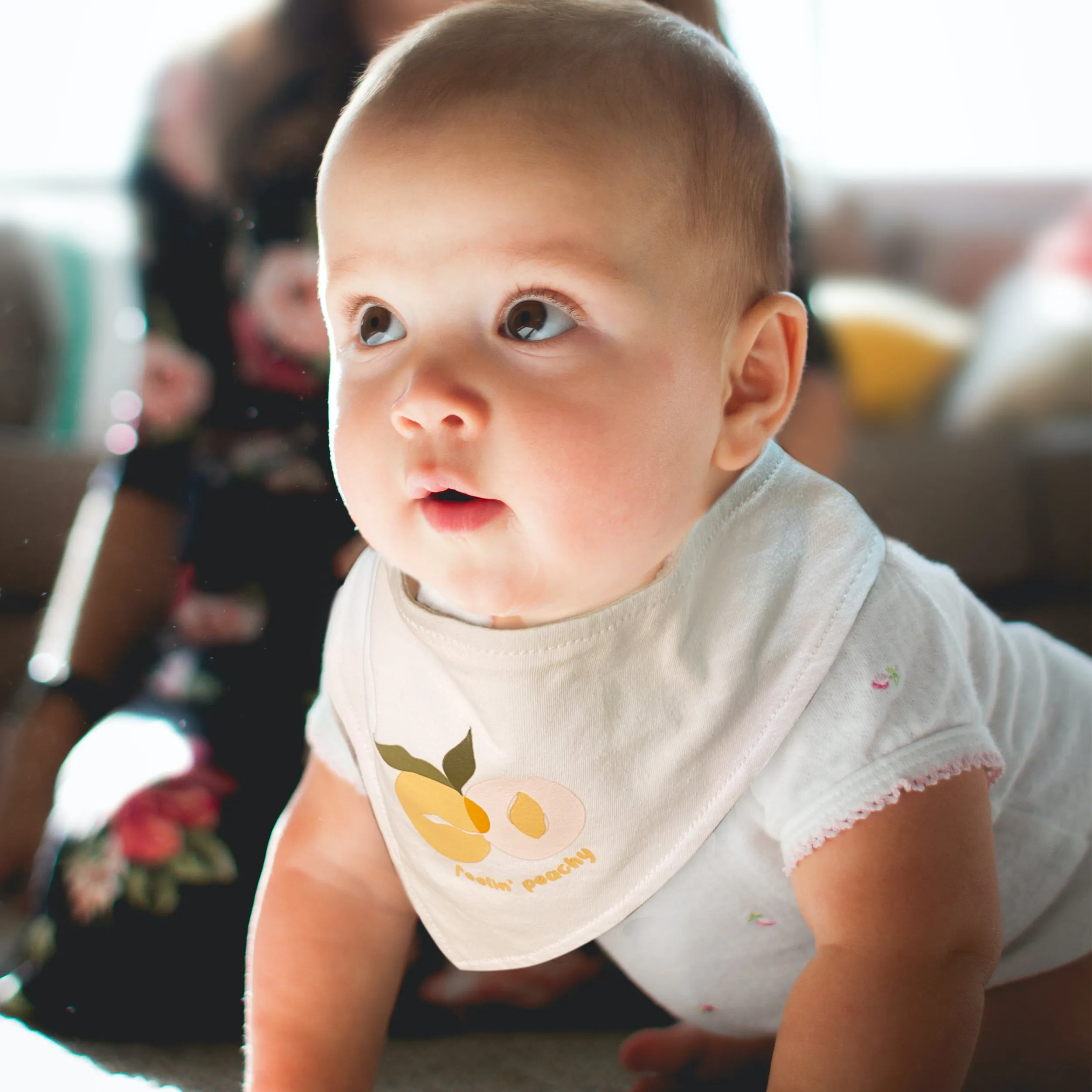 Bandana Bib | 2Pack