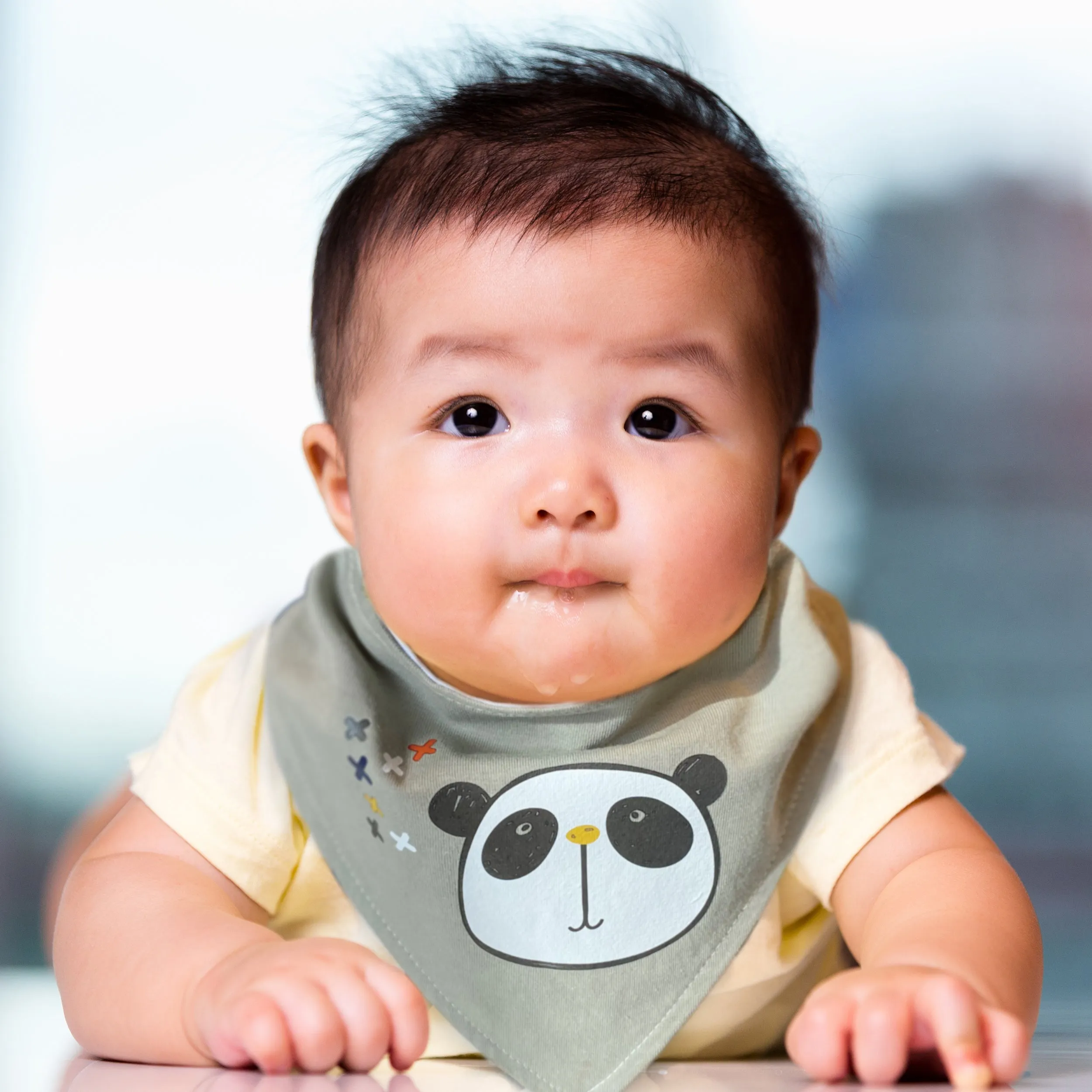 Bandana Bib | 2Pack