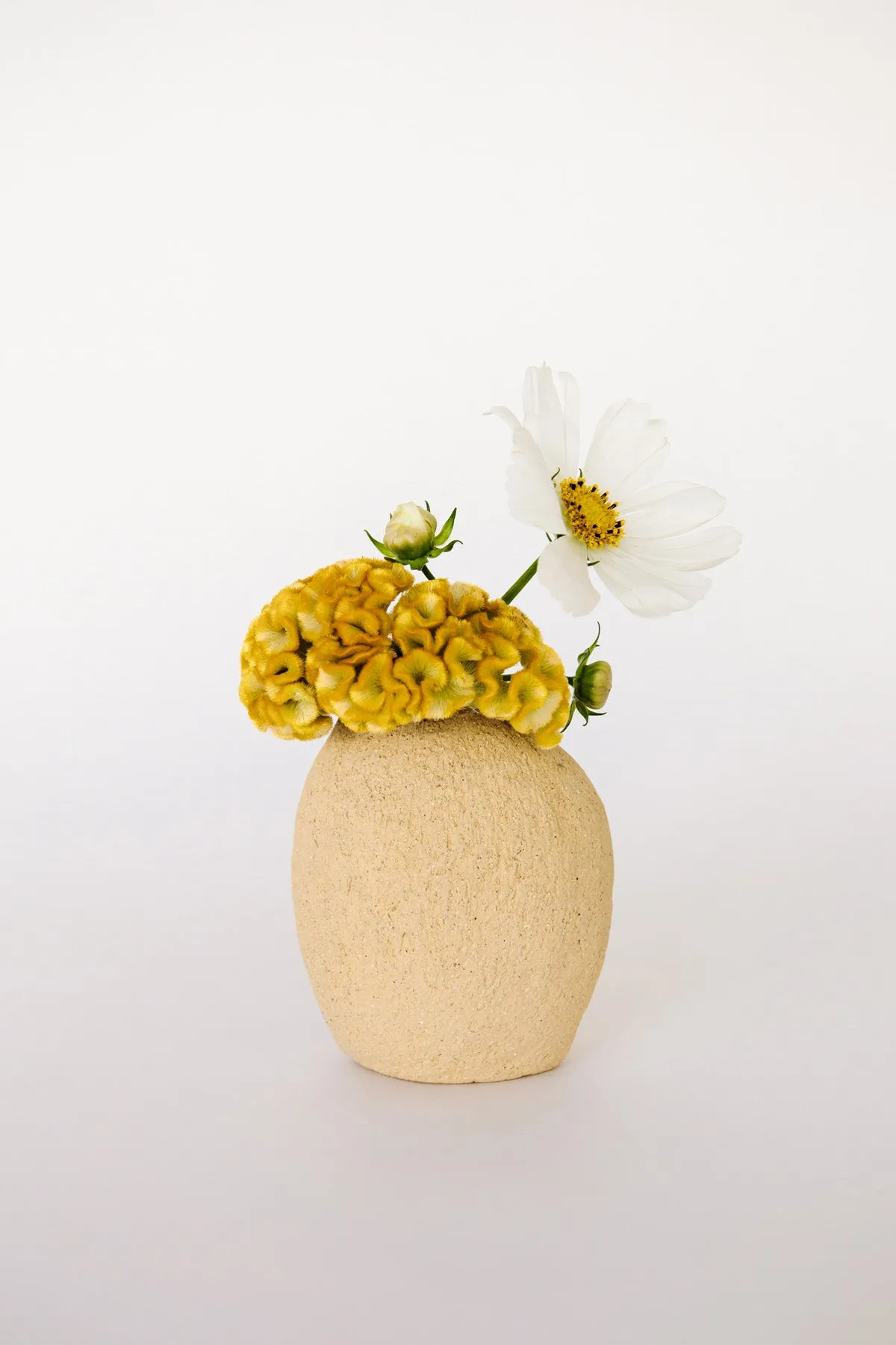 Buddie Vase, Bare and Cream - Medium