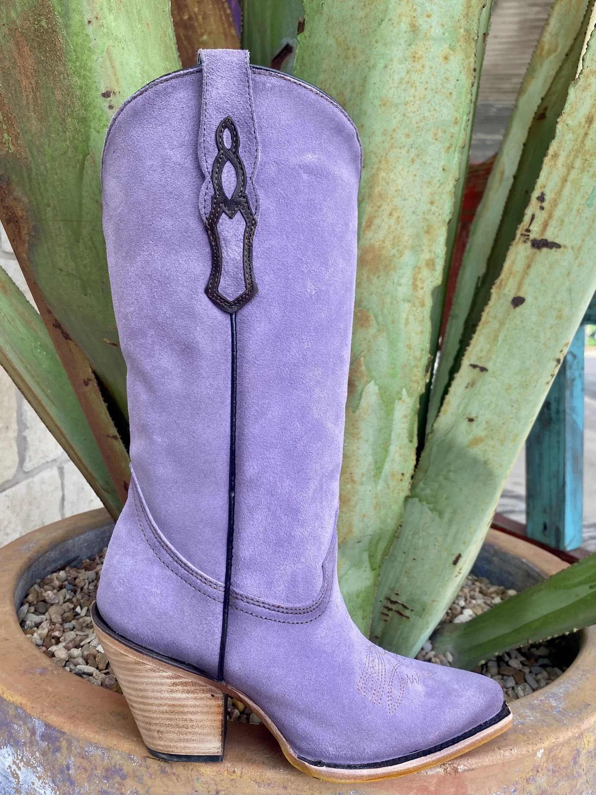 Corral Women's Boot - Z5204