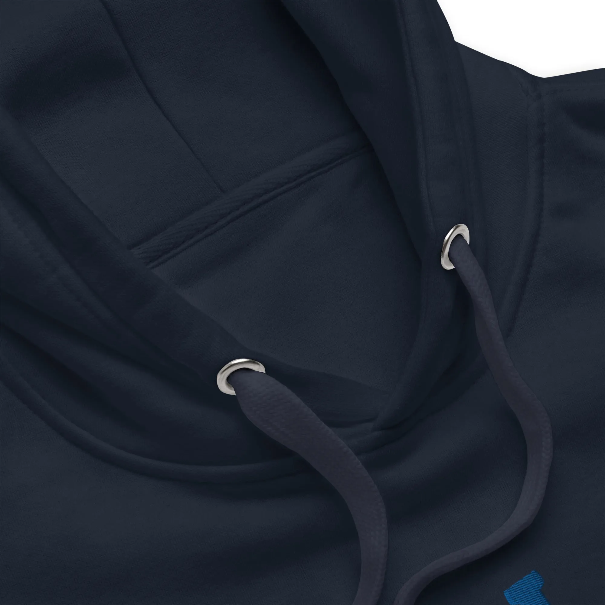 PIT LANE CLOTHING Embroidered Heavyweight Hoodie
